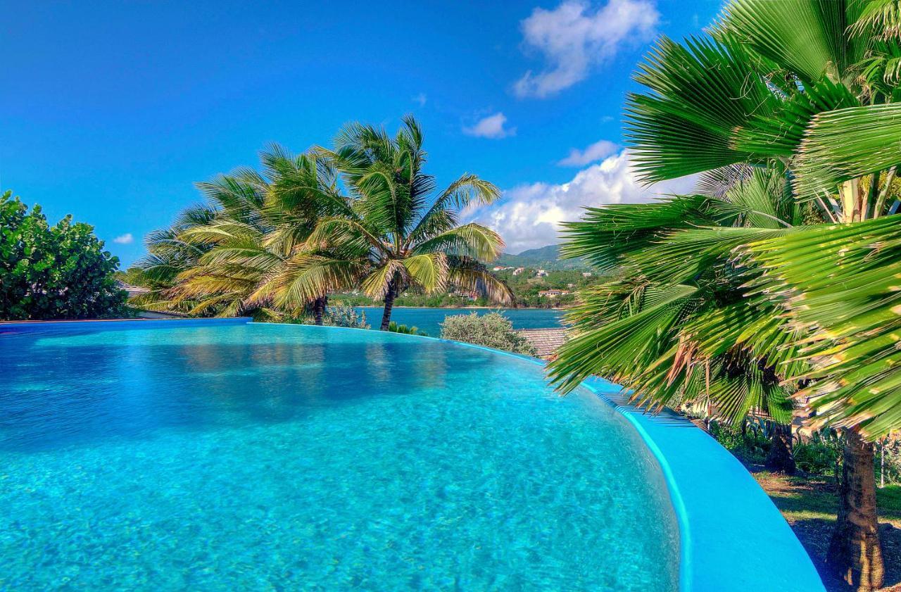 473 Grenada Boutique Resort St. George's Kültér fotó