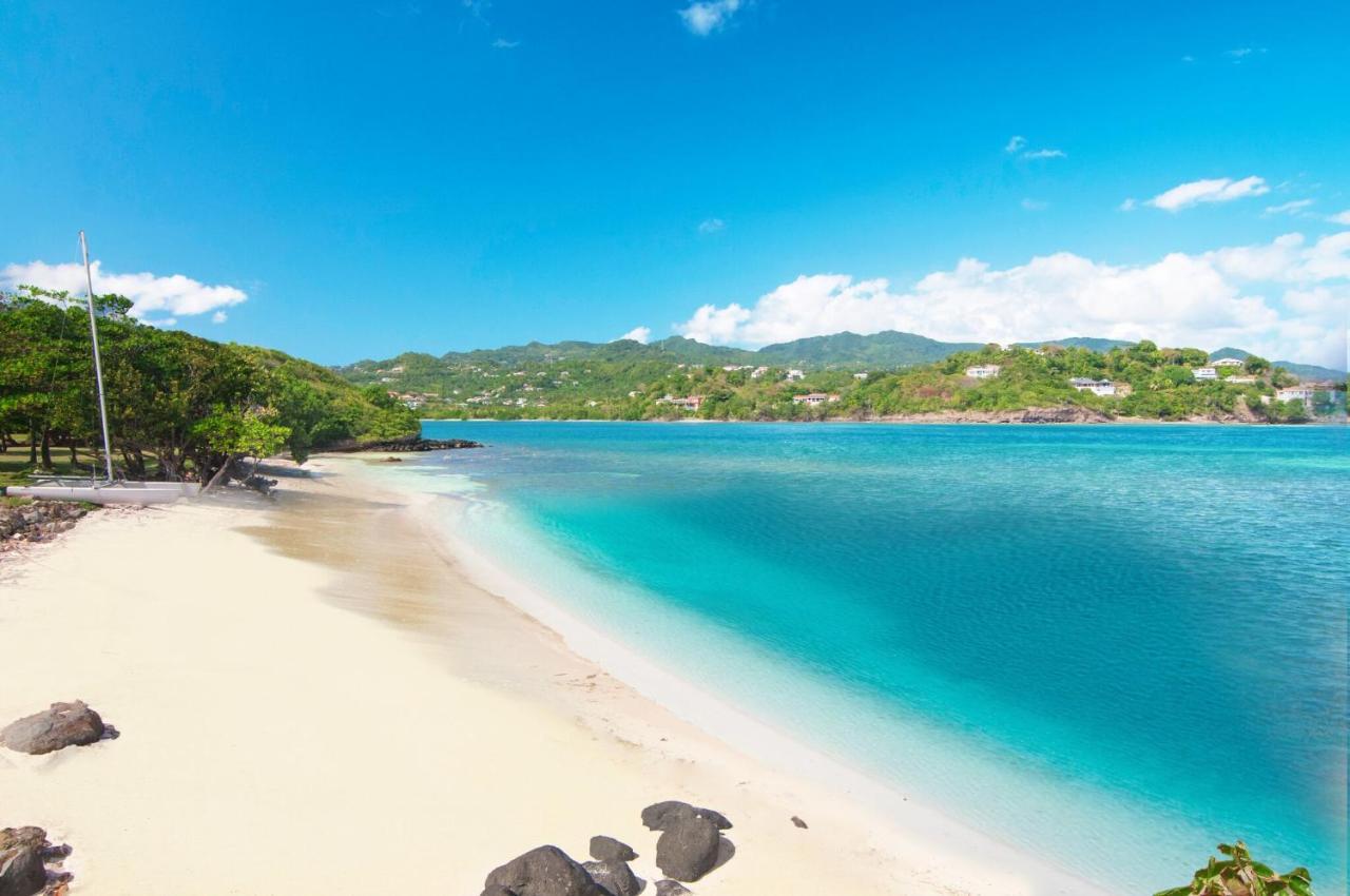 473 Grenada Boutique Resort St. George's Kültér fotó