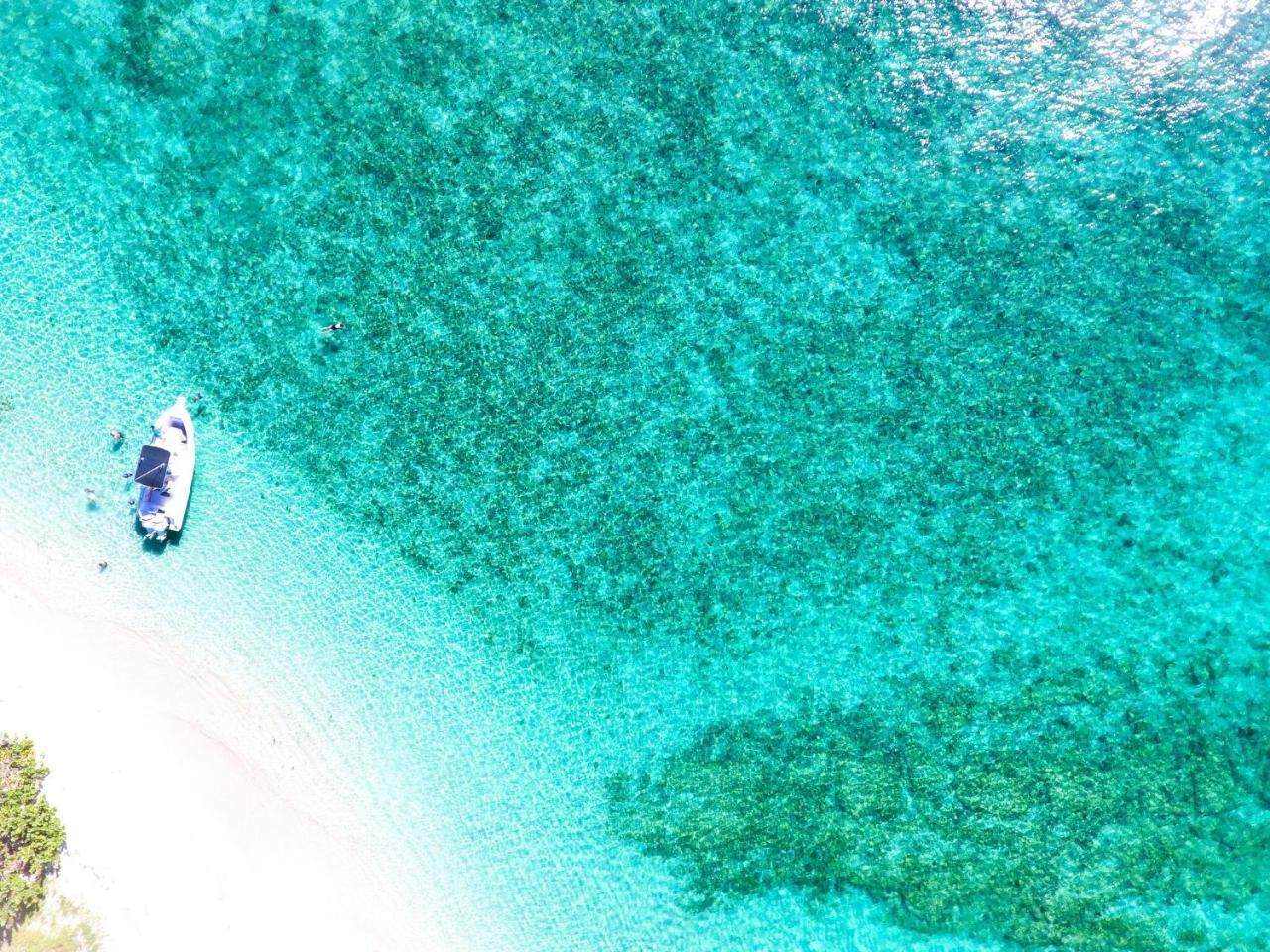 473 Grenada Boutique Resort St. George's Kültér fotó