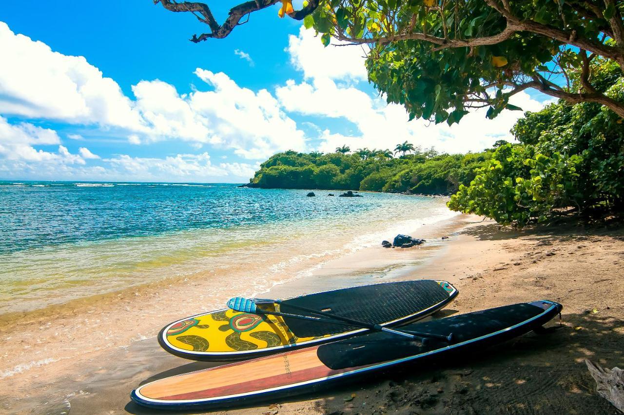 473 Grenada Boutique Resort St. George's Kültér fotó