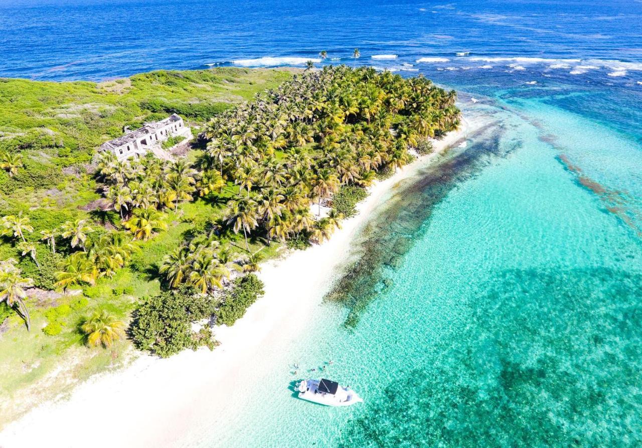 473 Grenada Boutique Resort St. George's Kültér fotó